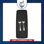 قاشق ترشی جفتی استیل زولینگن